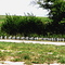 Road to W's Ranch, August 2005