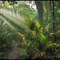 Heavenly Path