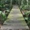 Trail Bridge