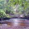 Namesake creek at Blackwater Creek Nature Preserve