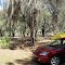 Alston Tract Camp