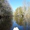 Arbuckle Creek FL