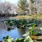 Arbuckle Creek FL