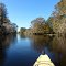 Arbuckle Creek FL