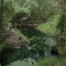 Sinkhole at Lafayette Blue Spring