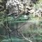 Lafayette Blue Springs State Park, FL