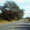 2010 Mayo, FL, USA - along SR 27