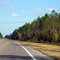 2010 Mayo, FL, USA - along SR 27