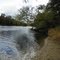 Suwanee River