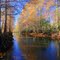 Leslie Heffner Canal