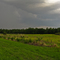 Anderson Rd. 4