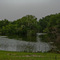 Lake on Pinecrest Rd.