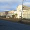 Mulberry Prep Plant