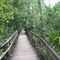 Walkway