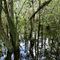 Everglades reserve