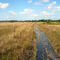 Beautiful Prairie's