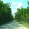 Big Cypress Nat'l Preserve Road