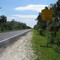 Everglades 04.08