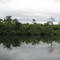Everglades 04.08