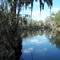 Looking East up the Suwannee