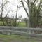 Trees before 354