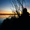 North Dakota sunrise 2000b