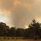Fire near our farm, summer 2012