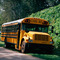 School Bus