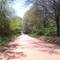 Shepherd Pond Rd