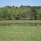 Teal Pond