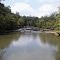 Swimming Hole at the Rock