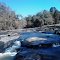 Alcovy River north of the bridge