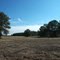 Westview Cemetery Field