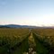 Foot Hill Vista