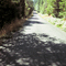 Low Divide Rd