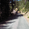 Grayback Rd