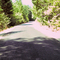 Bear Creek Rd