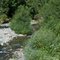 Sucker Creek channel beginning to change