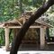 Grayback campground
