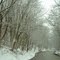 Sheridan Road in Winter