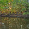 Wappinger Creek Greenway