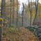 Cluett-Schantz Park