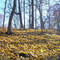 Bowdoin Park