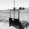 Irrigation gate