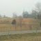 No Snow
