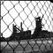 Blast Furnaces