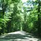 Wabash Cannon Ball Road