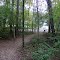 Bicentennial Woods, ACRES Nature Preserve