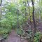 Bicentennial Woods, ACRES Nature Preserve