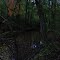 Bicentennial Woods, ACRES Nature Preserve